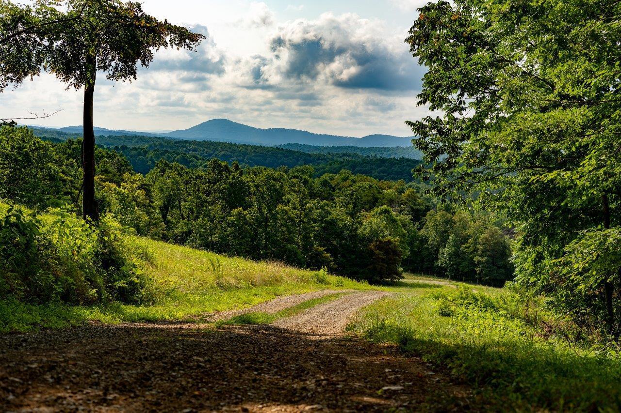 0 Foothills Road Callaway, VA 24067 - Photo 2 of 47 a view of a yard with plants