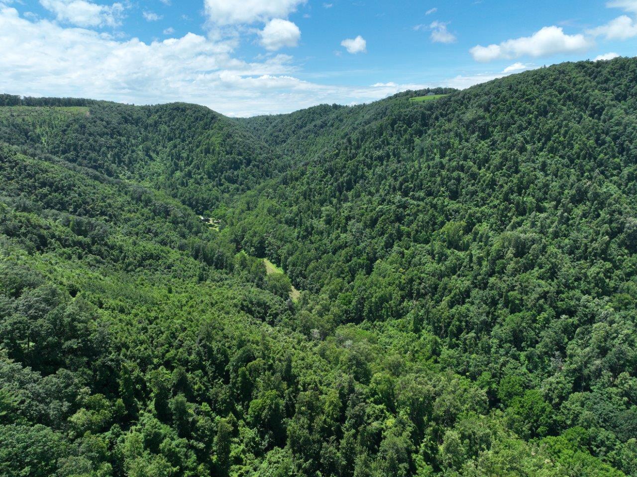 0 Foothills Road Callaway, VA 24067 - Photo 25 of 47 a view of a green field in a field