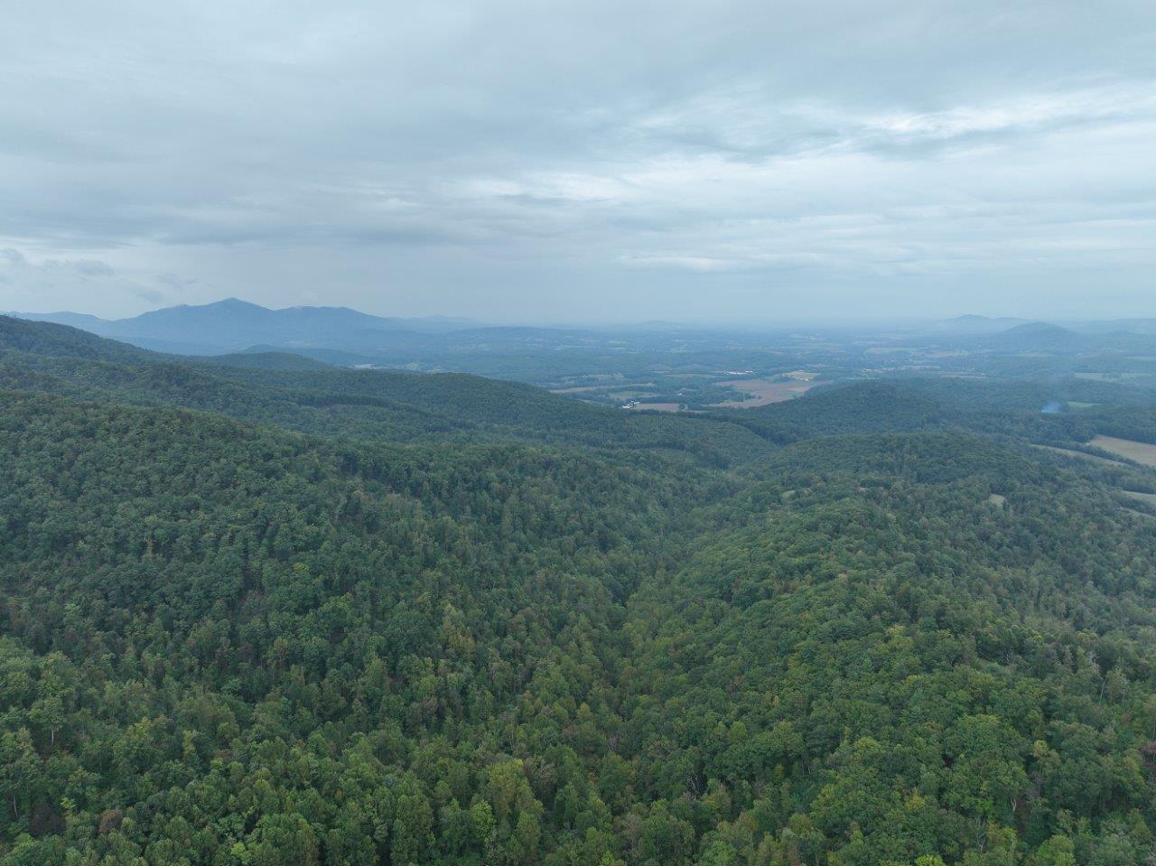 0 Foothills Road Callaway, VA 24067 - Photo 35 of 47 a view of city and green space