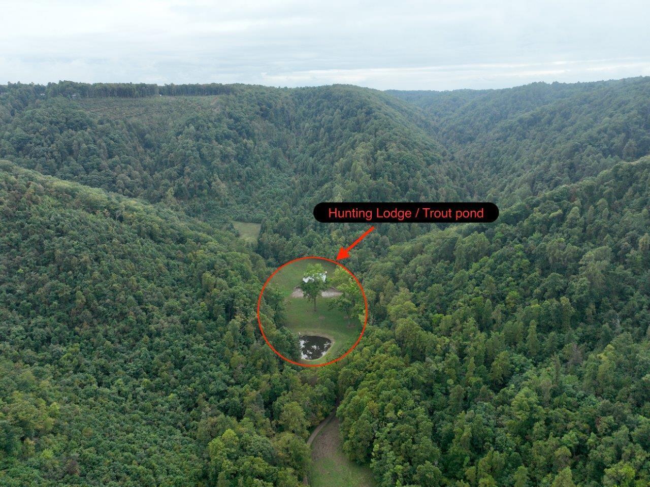 0 Foothills Road Callaway, VA 24067 - Photo 36 of 47