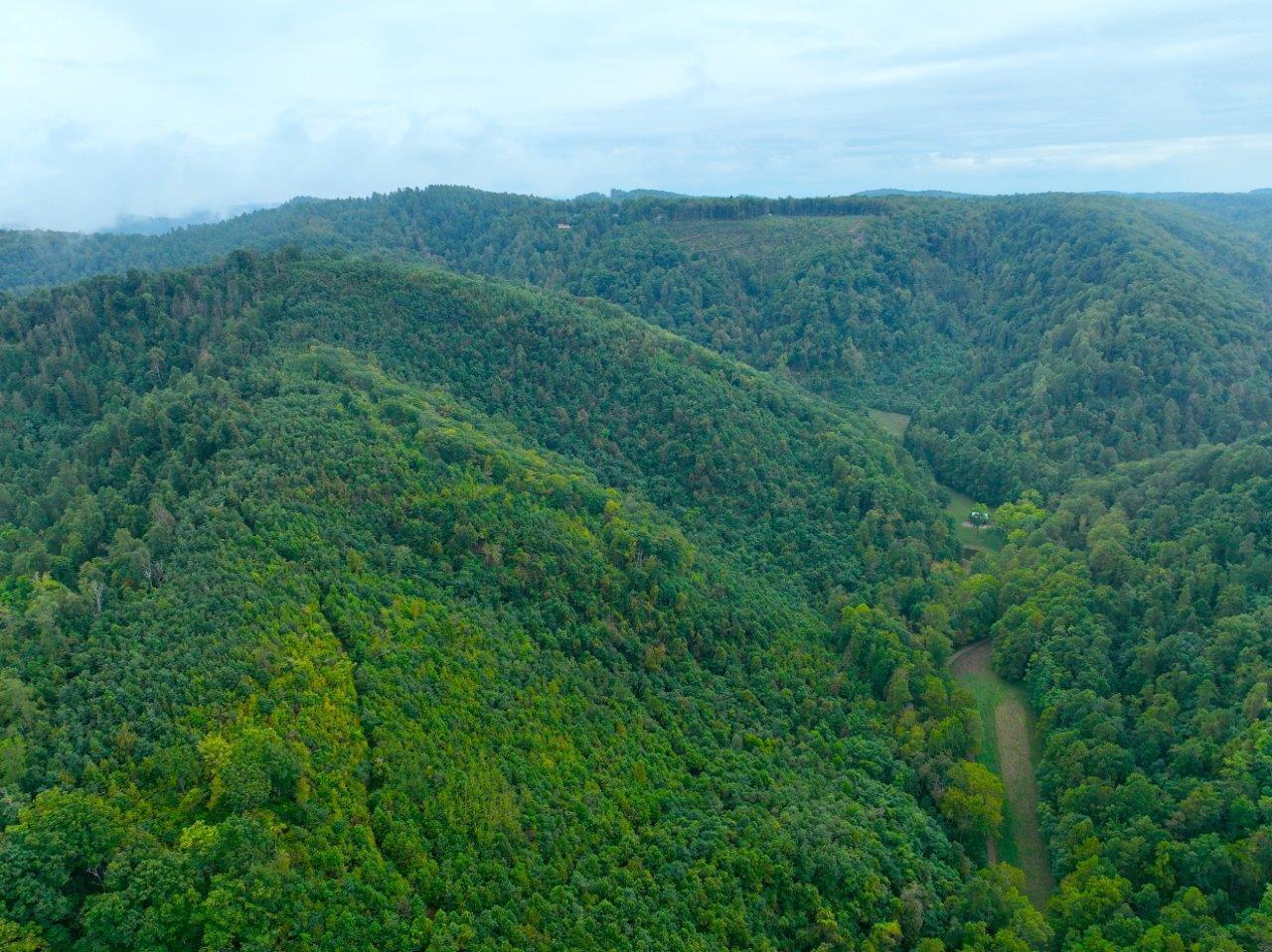 0 Foothills Road Callaway, VA 24067 - Photo 39 of 47 a view of a lush green forest with a mountain