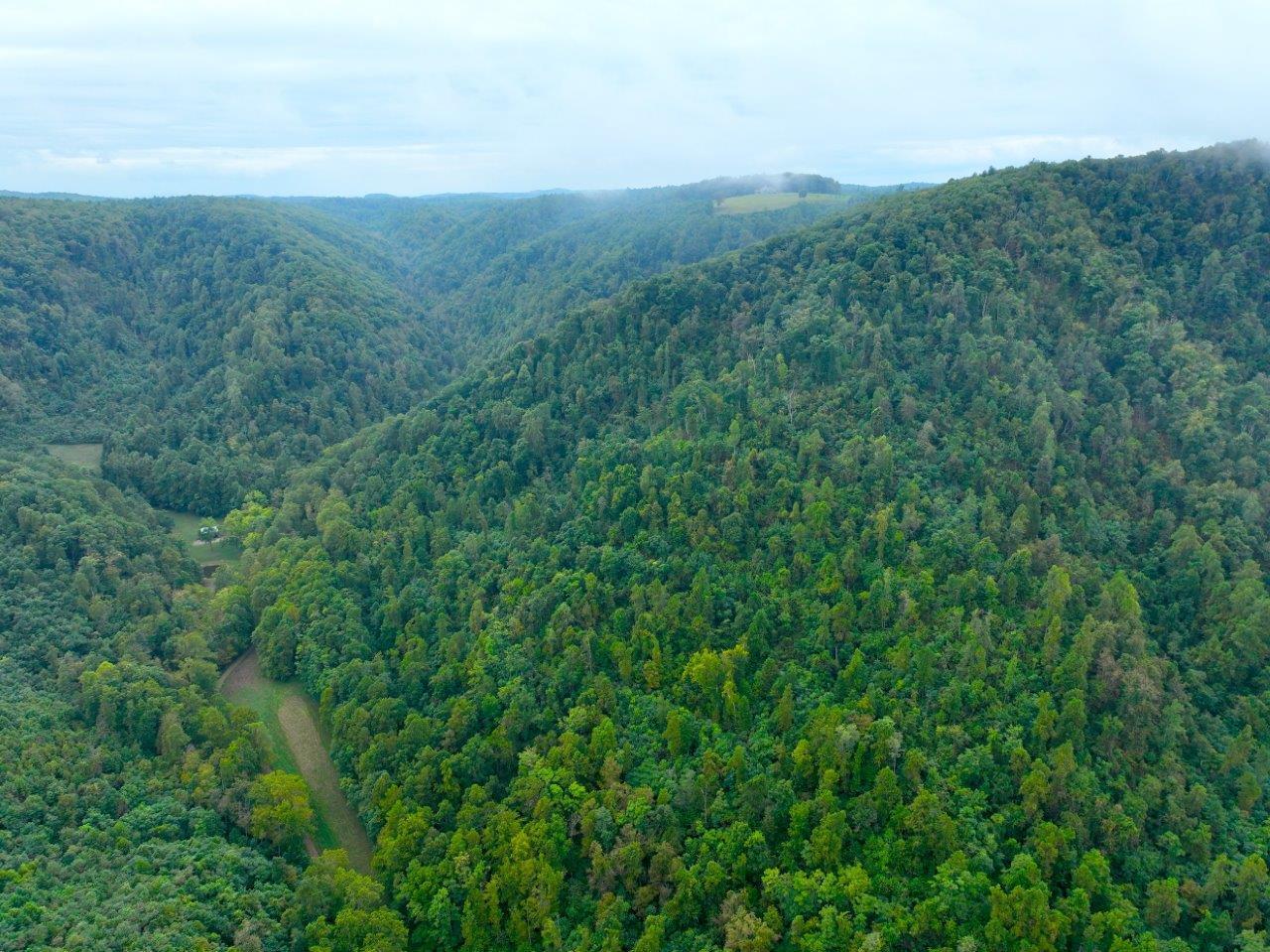 0 Foothills Road Callaway, VA 24067 - Photo 40 of 47 a view of a lush green forest with a mountain