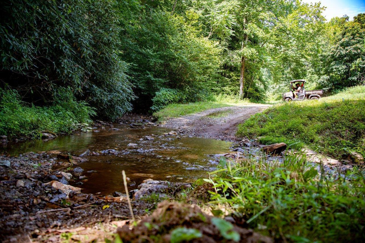 0 Foothills Road Callaway, VA 24067 - Photo 4 of 47 a view of a street with a tree