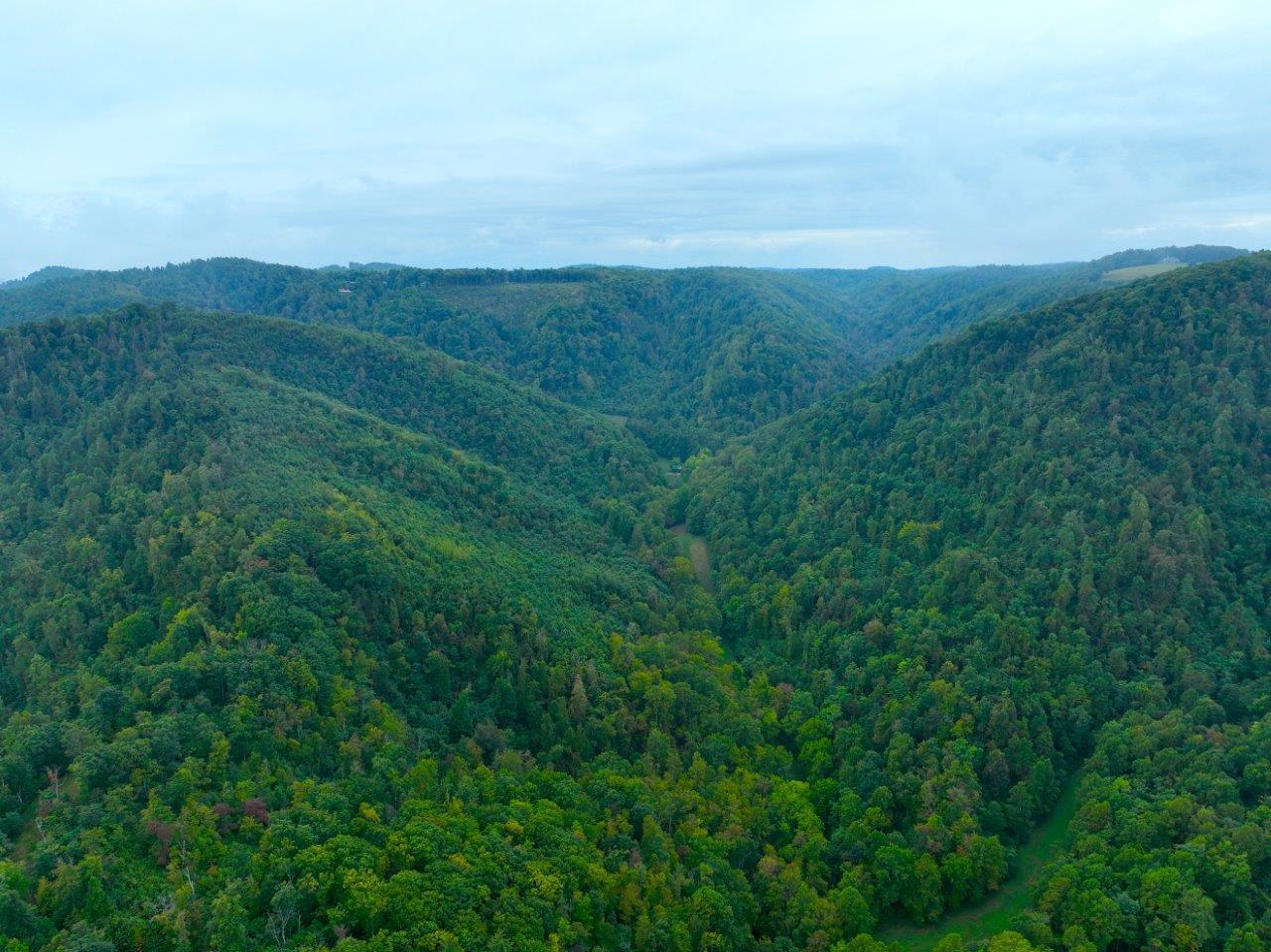 0 Foothills Road Callaway, VA 24067 - Photo 41 of 47 a view of city with lush green forest