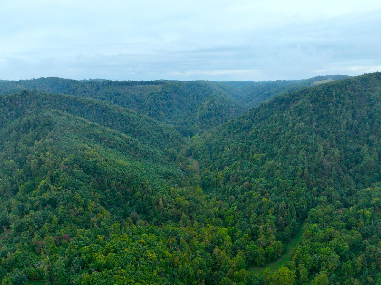 0 Foothills Road Callaway, VA 24067 - Photo 42 of 47 a view of an mountain