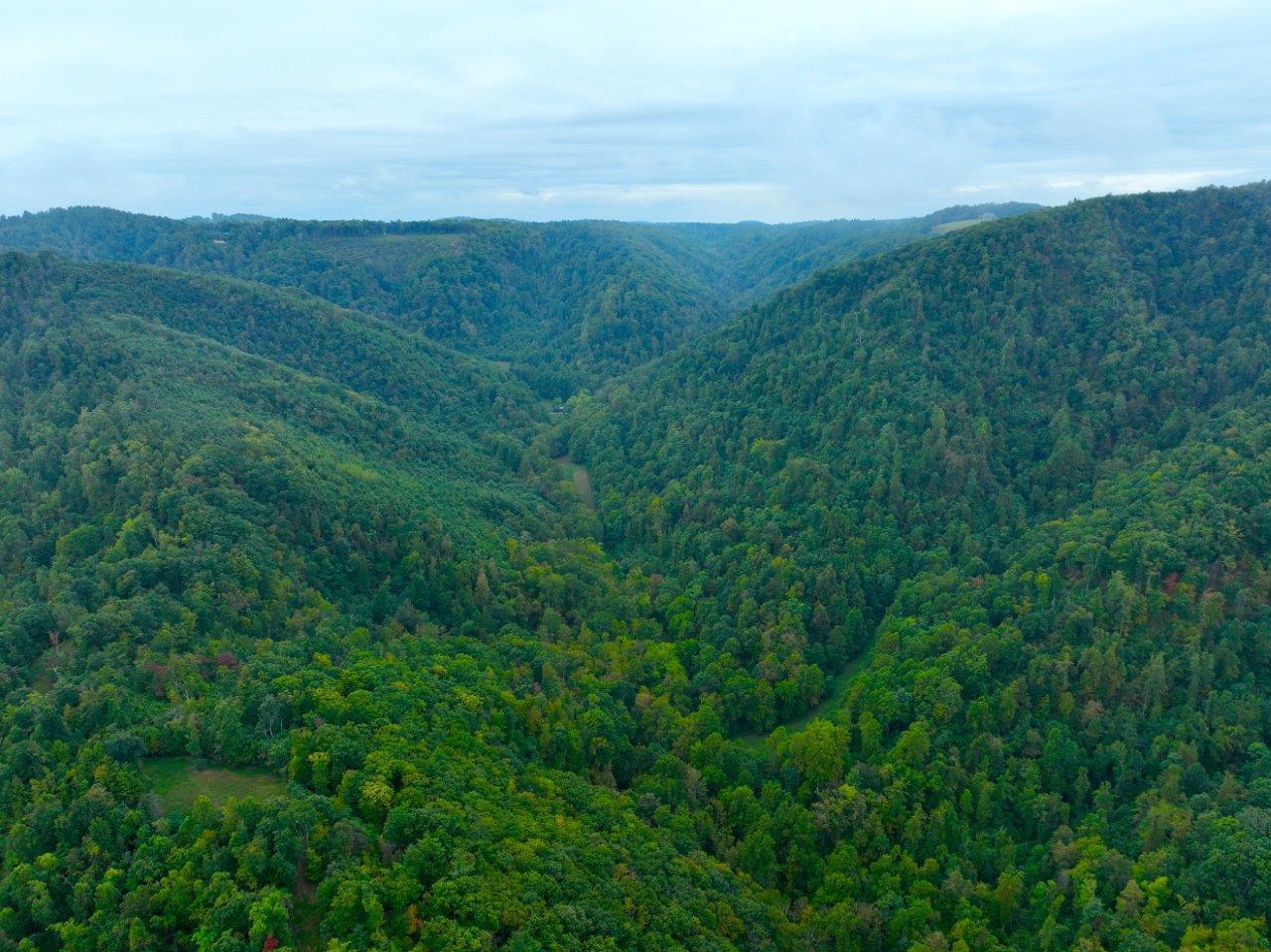 0 Foothills Road Callaway, VA 24067 - Photo 43 of 47 a view of a field with an ocean
