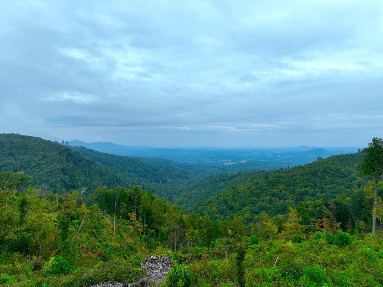 0 Foothills Road Callaway, VA 24067 - Photo 45 of 47 a view of a big yard with lots of green space