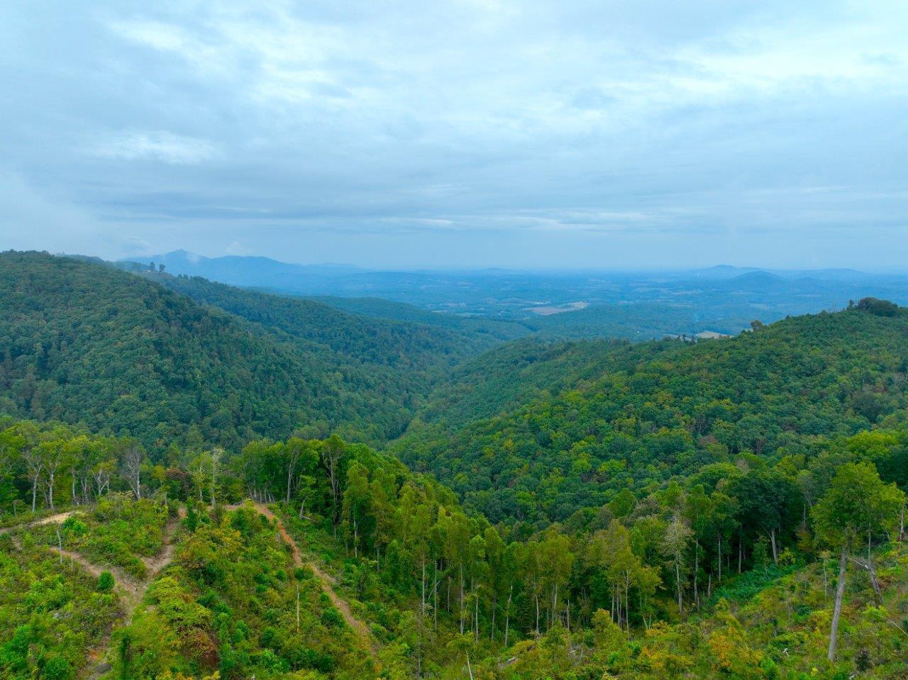 0 Foothills Road Callaway, VA 24067 - Photo 46 of 47 a view of a field of grass and trees