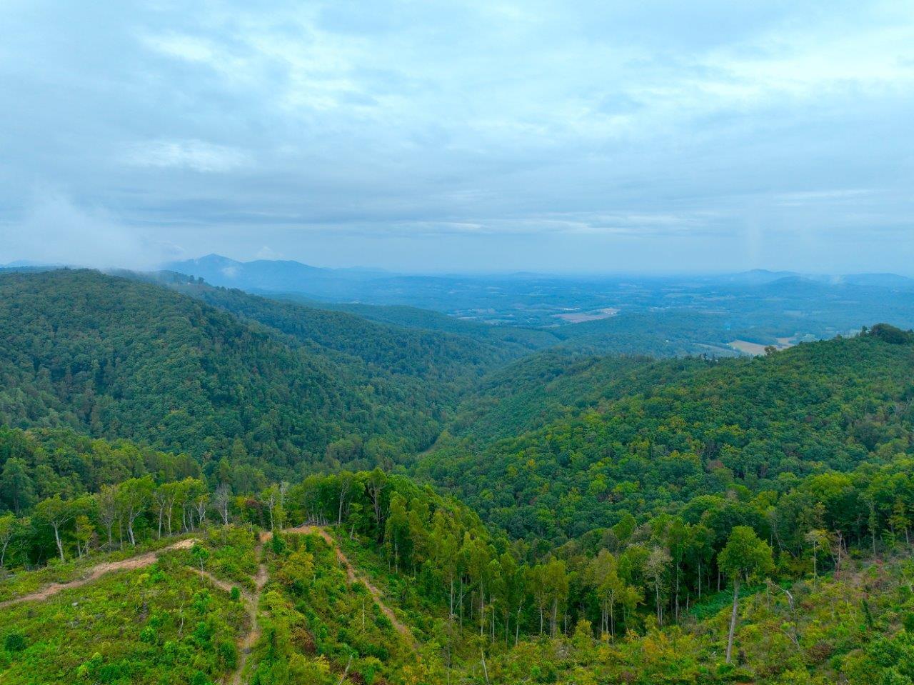 0 Foothills Road Callaway, VA 24067 - Photo 47 of 47 a view of a big yard with large trees