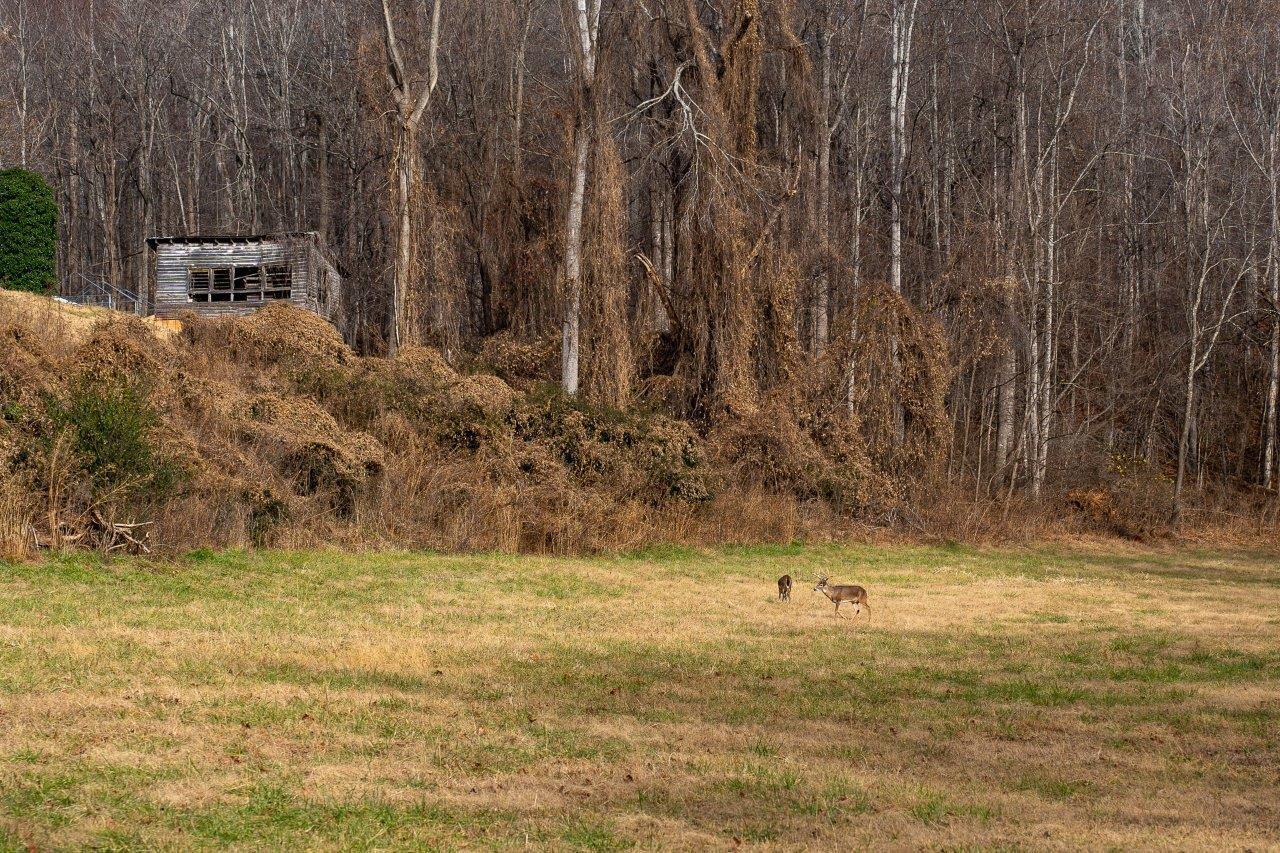 0 Foothills Road Callaway, VA 24067 - Photo 10 of 47 a view of swimming pool with a yard