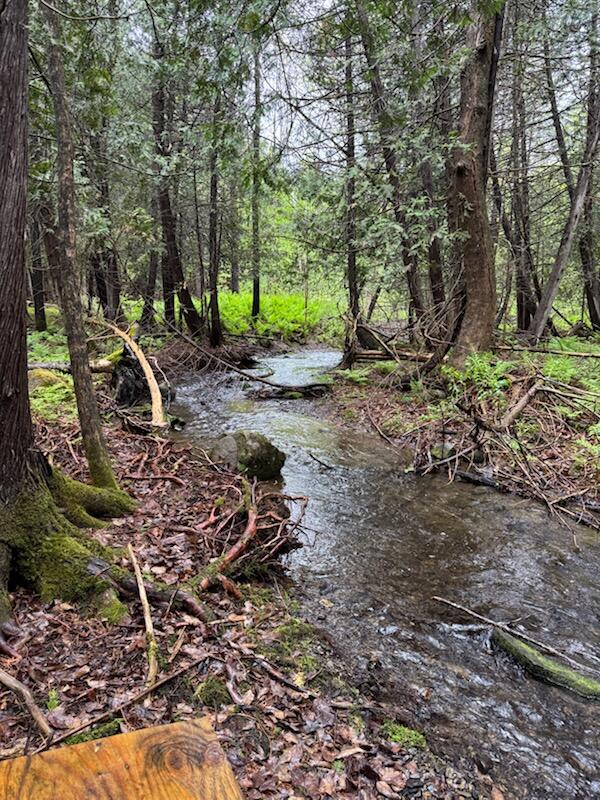 1698 Exeter Road Exeter, ME 04435 - Photo 41 of 42 Private Stream