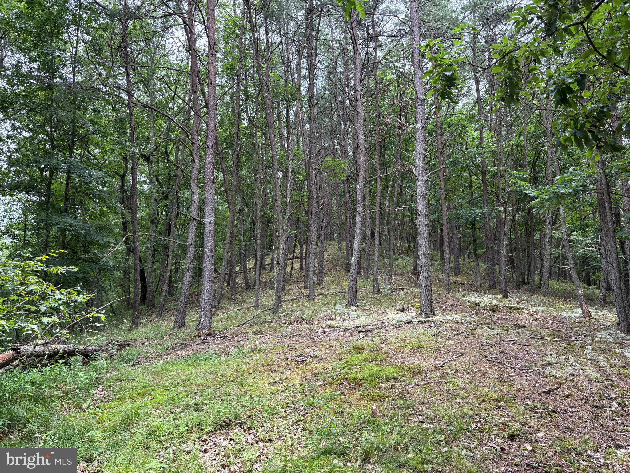 Lot 126 Bluffs Blue Beach Road Springfield, WV 26763 - Photo 5 of 20