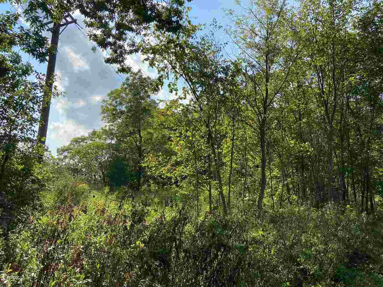 0 Marshall Road South Lyon, MI 48178 - Photo 11 of 29
