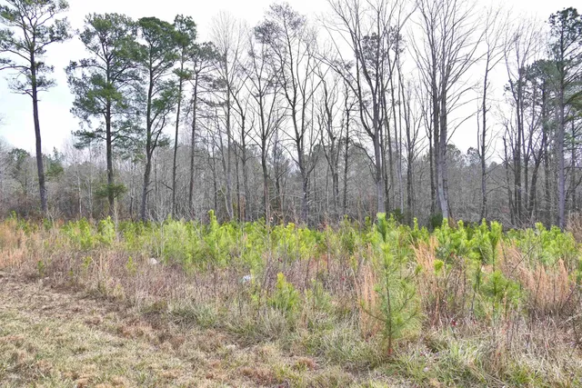 $55,000 | 631 Pacolet Highway, Gaffney, SC 29340