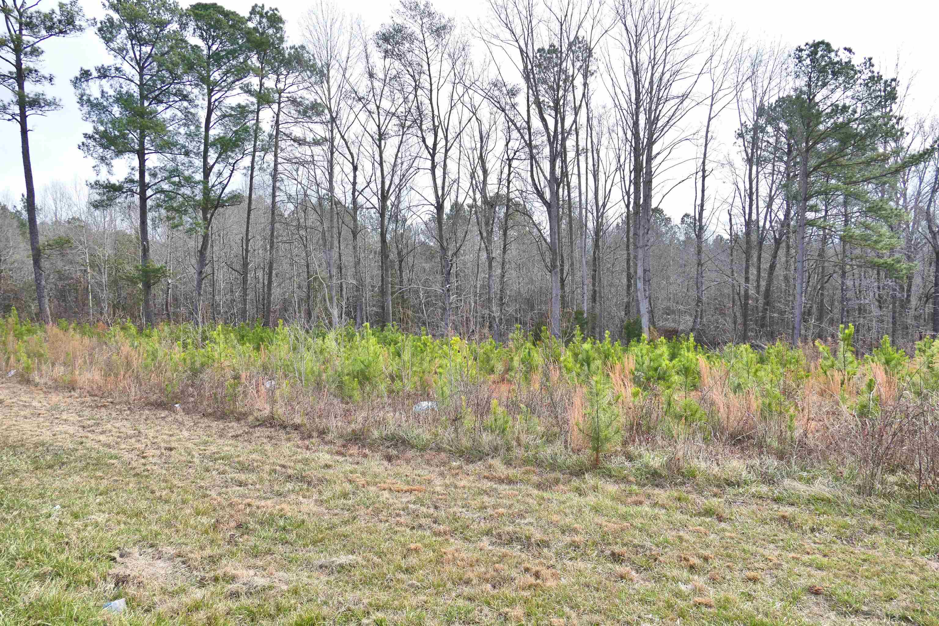 631 Pacolet Highway Gaffney, SC 29340 - Photo 5 of 5