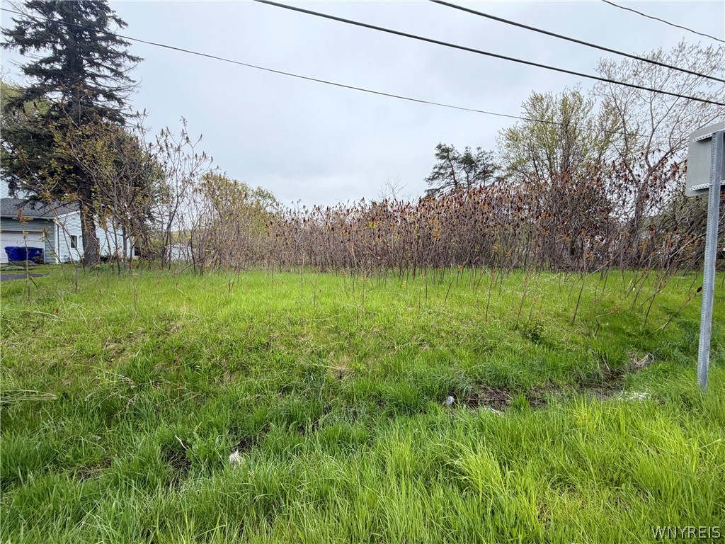 Vl Ridge Road Ransomville, NY 14131 - Photo 2 of 4