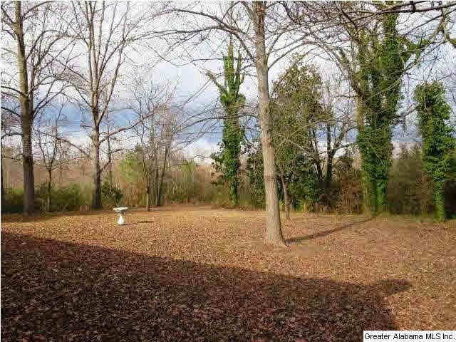 2293 Mt Moriah Road Delta, AL 36258 - Photo 3 of 15