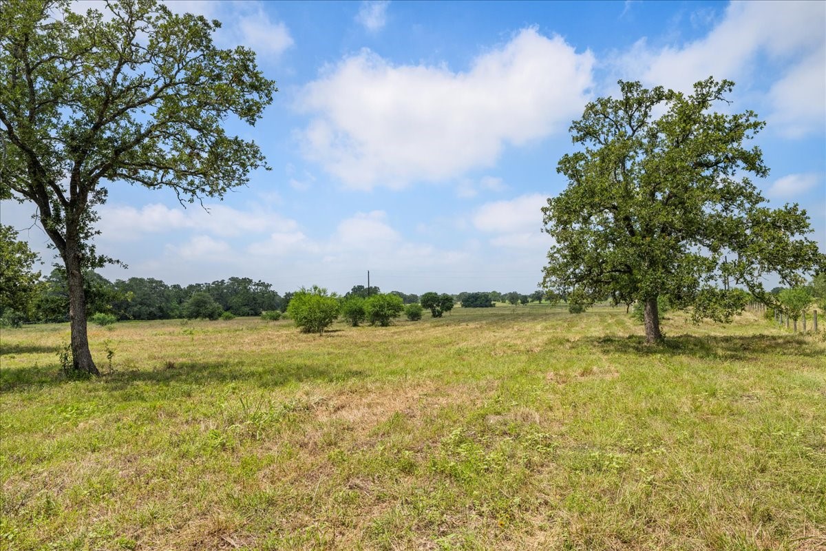 6900 Waldeck Cemetery Road Round Top, TX 78954 - Photo 10 of 24