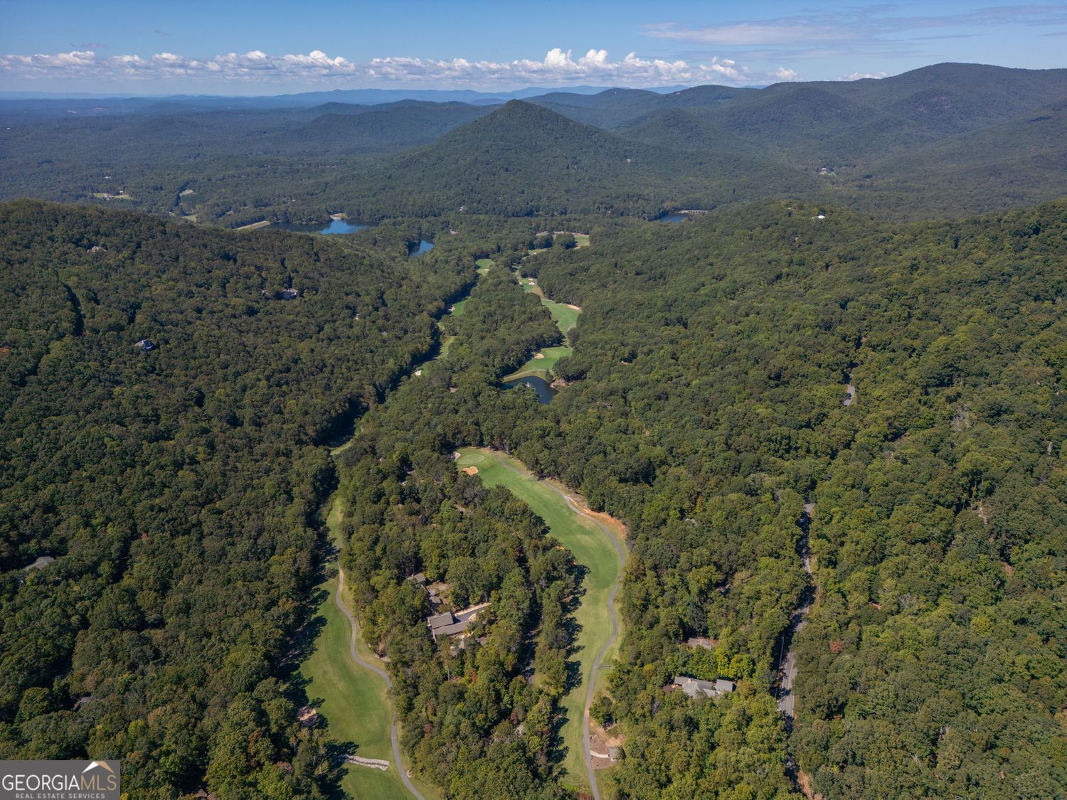 0 Little Hendricks Mountain Road Jasper, GA 30143 - Photo 16 of 17