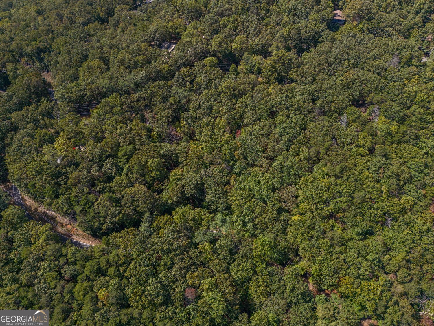 0 Little Hendricks Mountain Road Jasper, GA 30143 - Photo 4 of 17