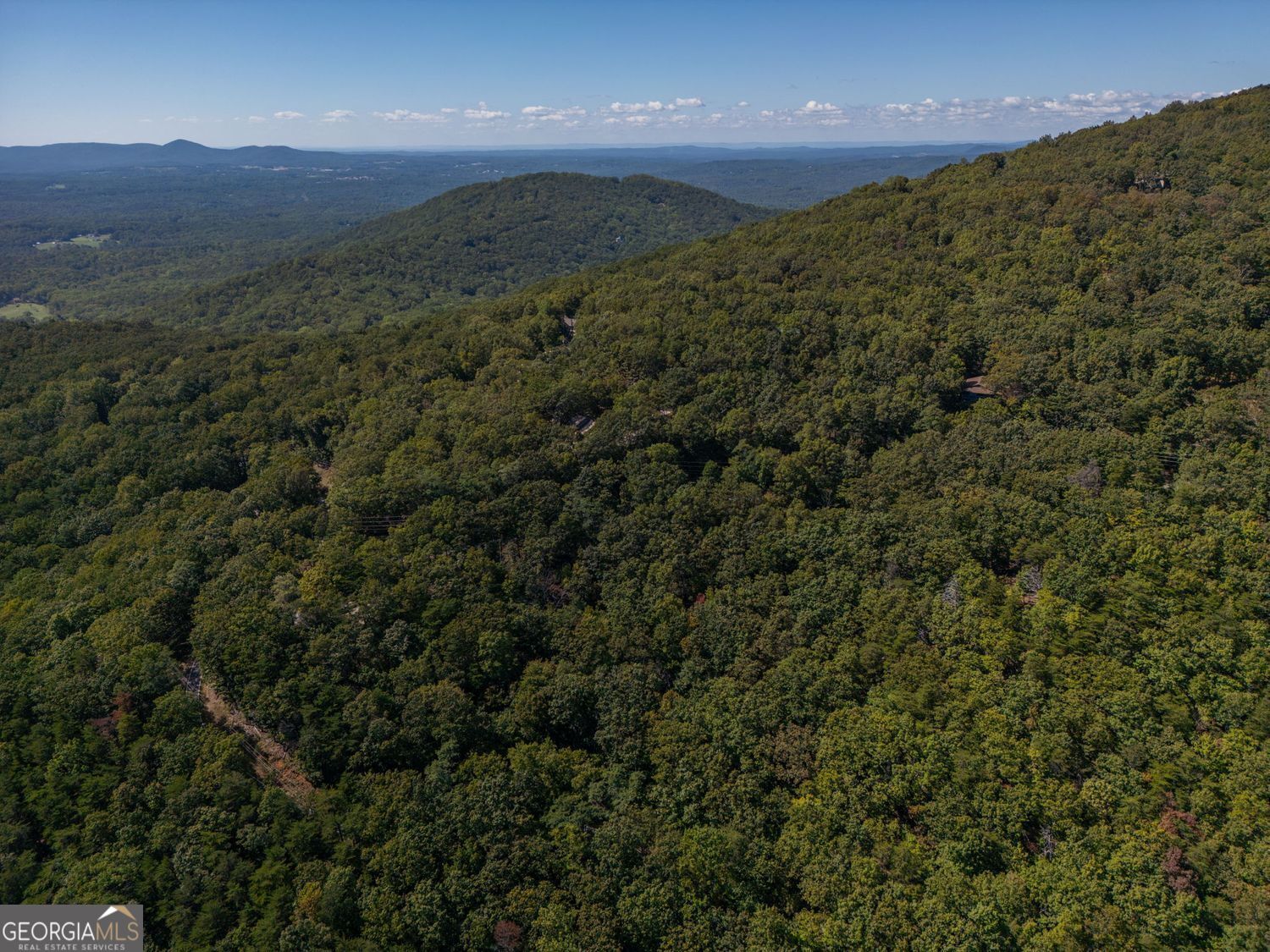 0 Little Hendricks Mountain Road Jasper, GA 30143 - Photo 5 of 17 a view of a big yard