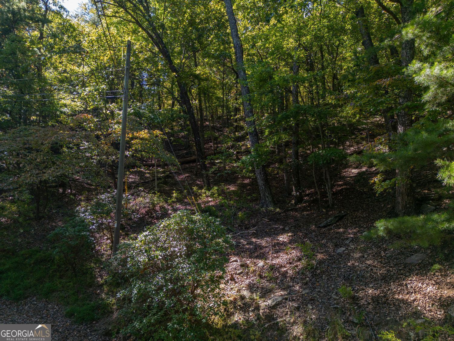 0 Little Hendricks Mountain Road Jasper, GA 30143 - Photo 10 of 17 a view of a forest with trees in the background
