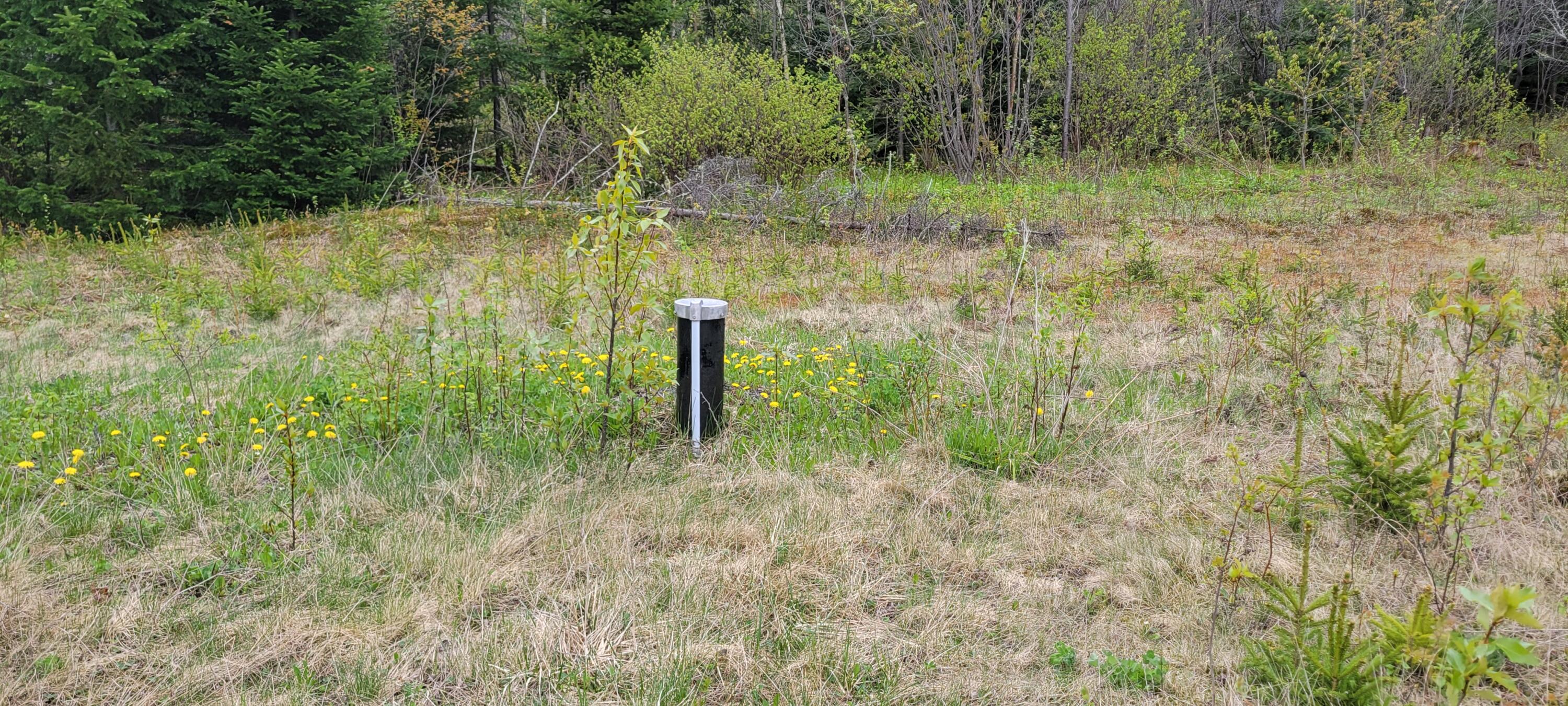 647 Gagnon Road Madawaska, ME 04773 - Photo 13 of 17 20250522_110834
