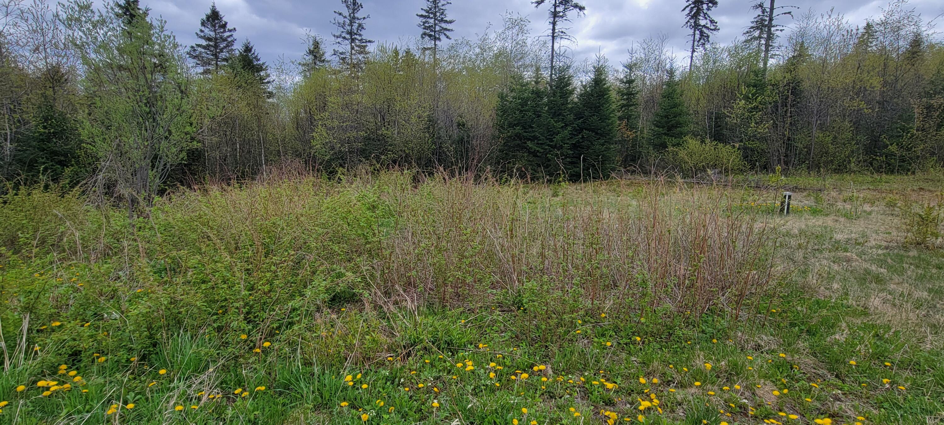 647 Gagnon Road Madawaska, ME 04773 - Photo 17 of 17 20250522_110825