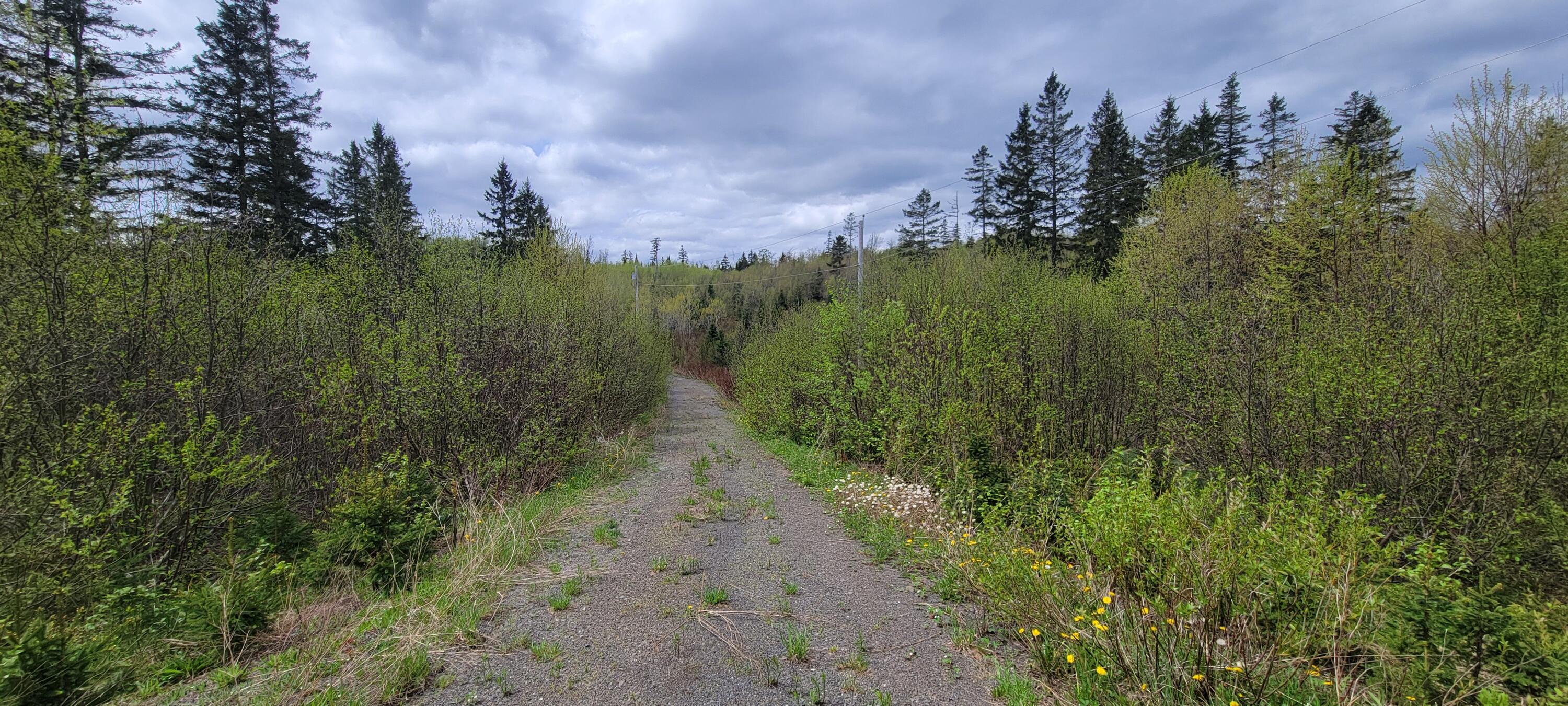 647 Gagnon Road Madawaska, ME 04773 - Photo 6 of 17 20250522_110422