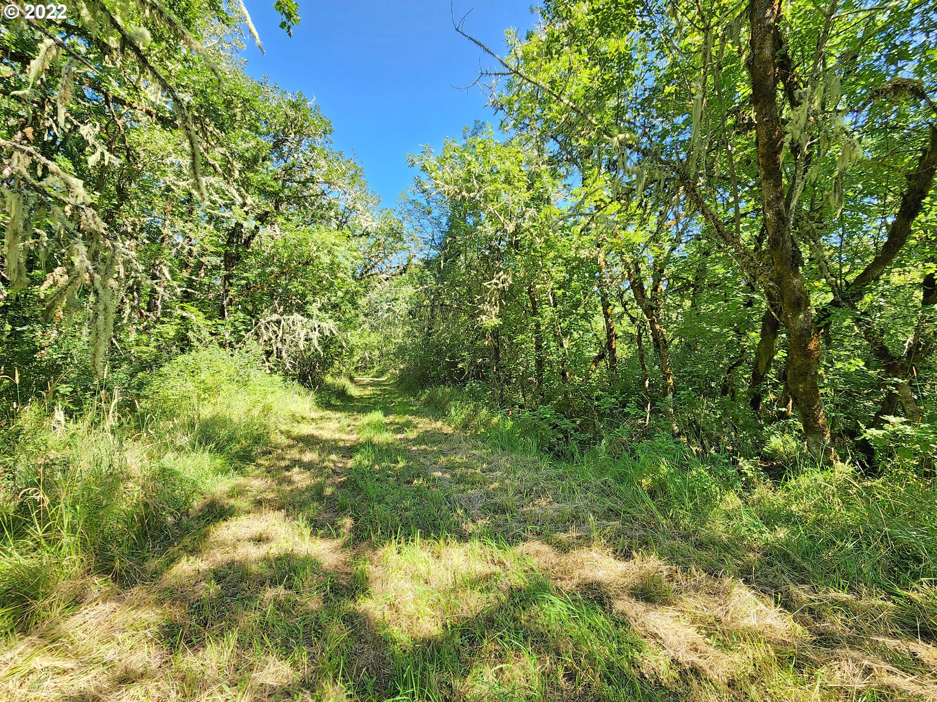 85940 Playway Road Eugene, OR 97402 - Photo 13 of 18 Gallery Image 13