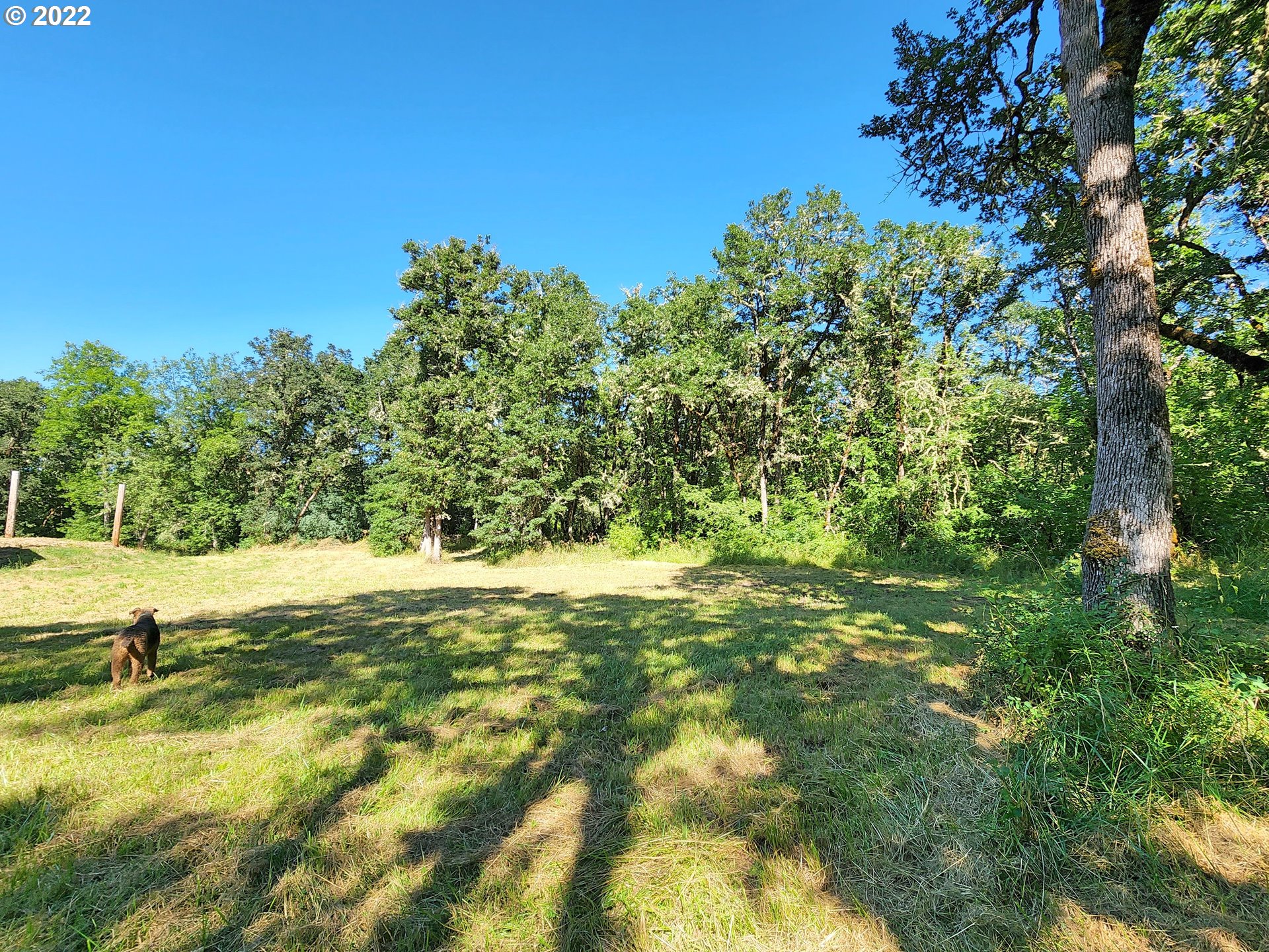 85940 Playway Road Eugene, OR 97402 - Photo 5 of 18 Gallery Image 5