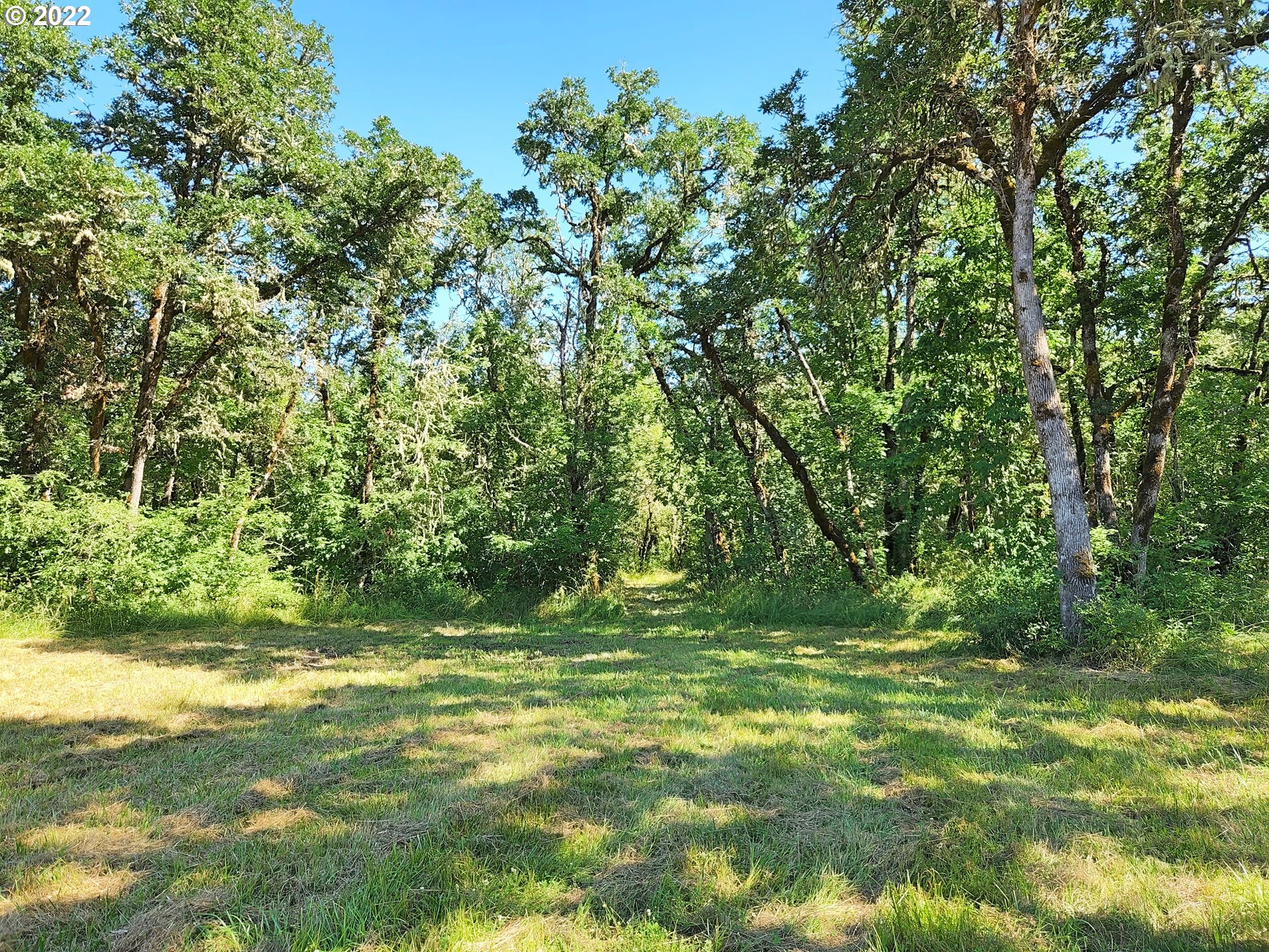 85940 Playway Road Eugene, OR 97402 - Photo 10 of 18 Gallery Image 10