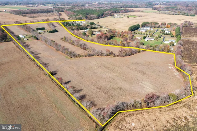 a view of a swimming pool with a terrace