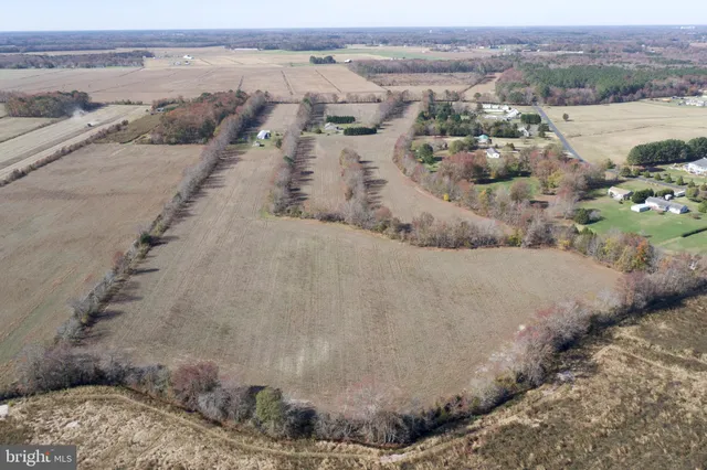 a view of city and ocean