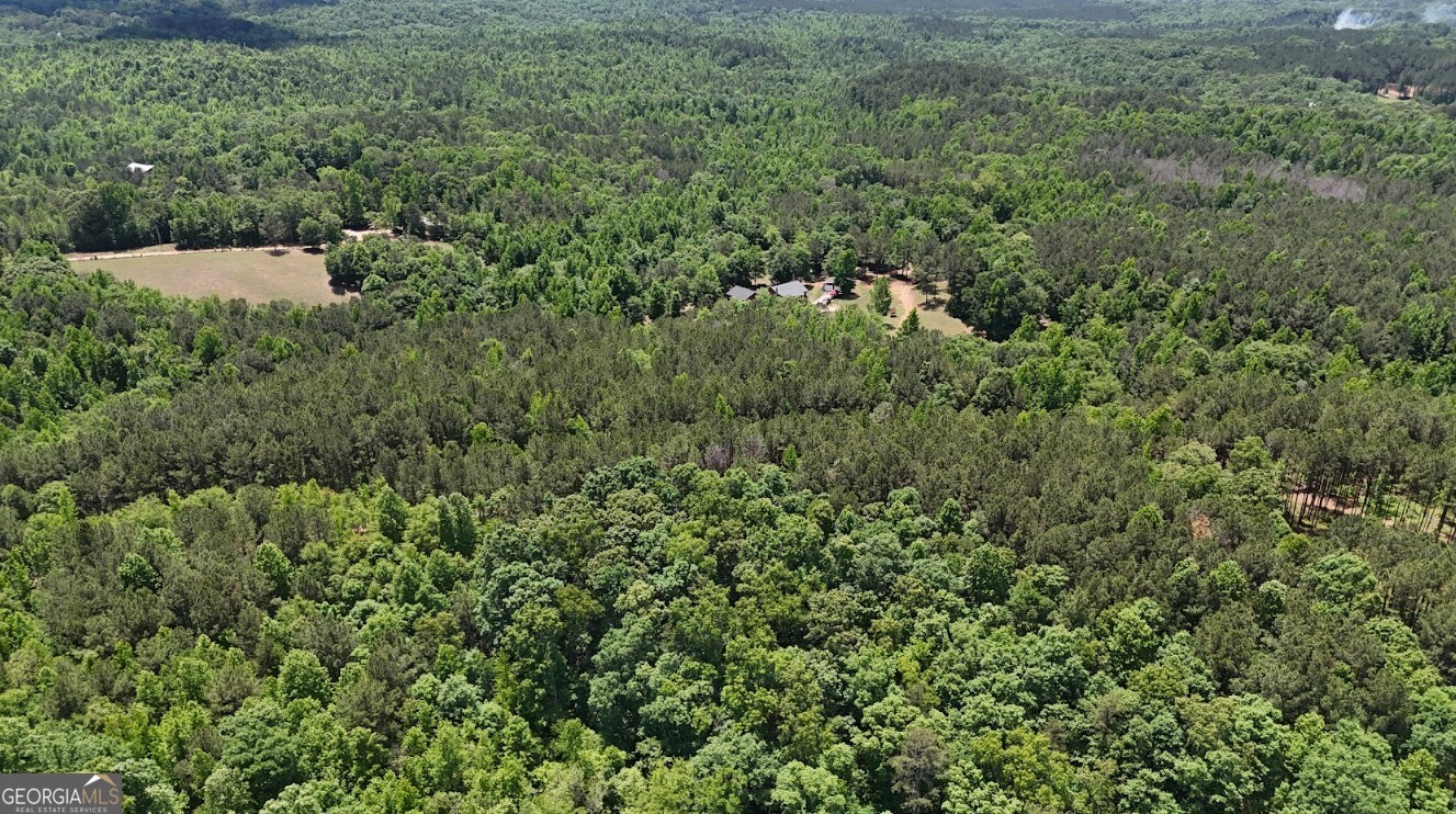 0 Creek Road, Unit LOT 2 Ashland, AL 36251 - Photo 14 of 20