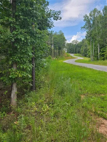 a view of a field with a tree