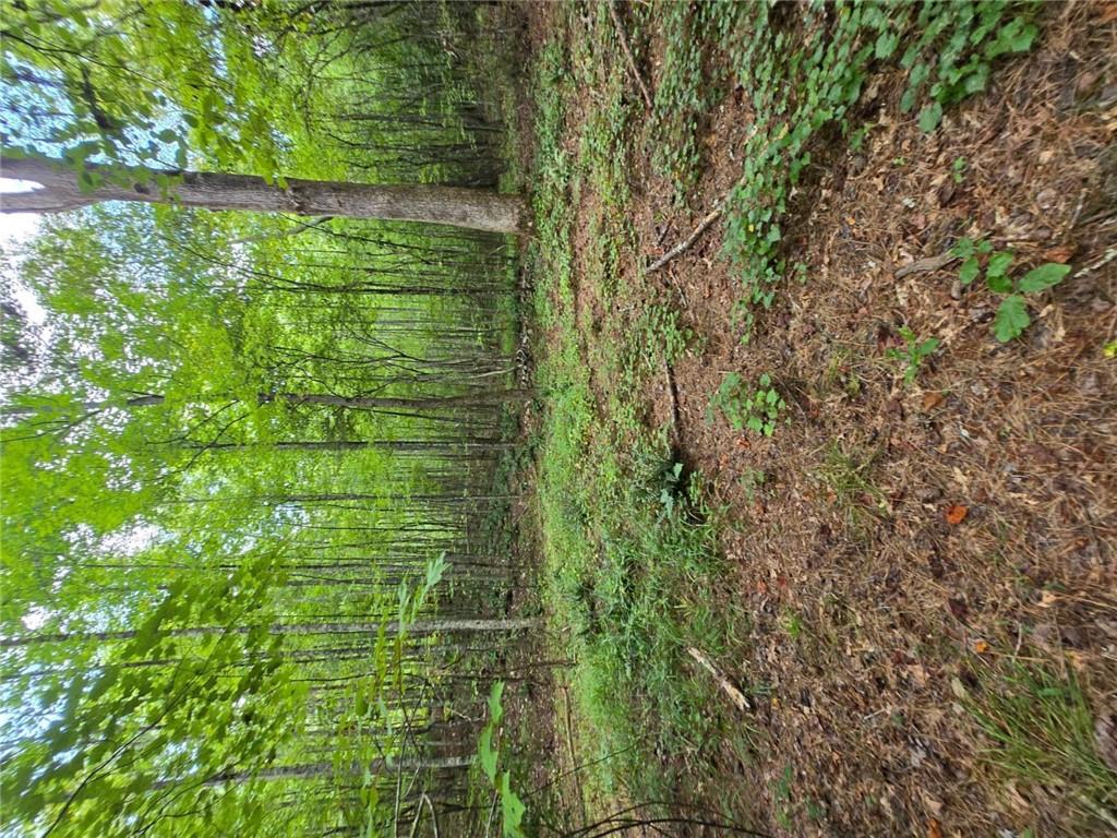 0 Crayfish Place Talking Rock, GA 30175 - Photo 12 of 27 a view of outdoor space with trees all around
