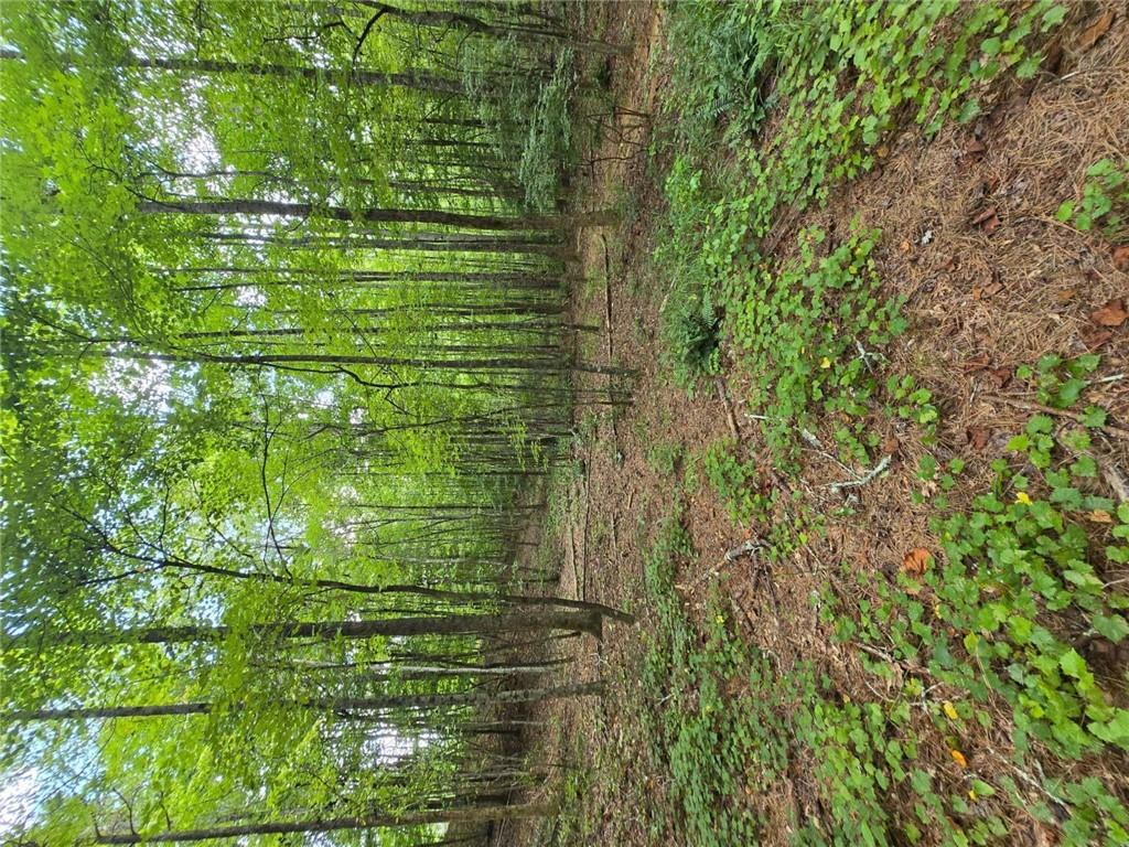 0 Crayfish Place Talking Rock, GA 30175 - Photo 13 of 27 a view of outdoor space with green field and trees