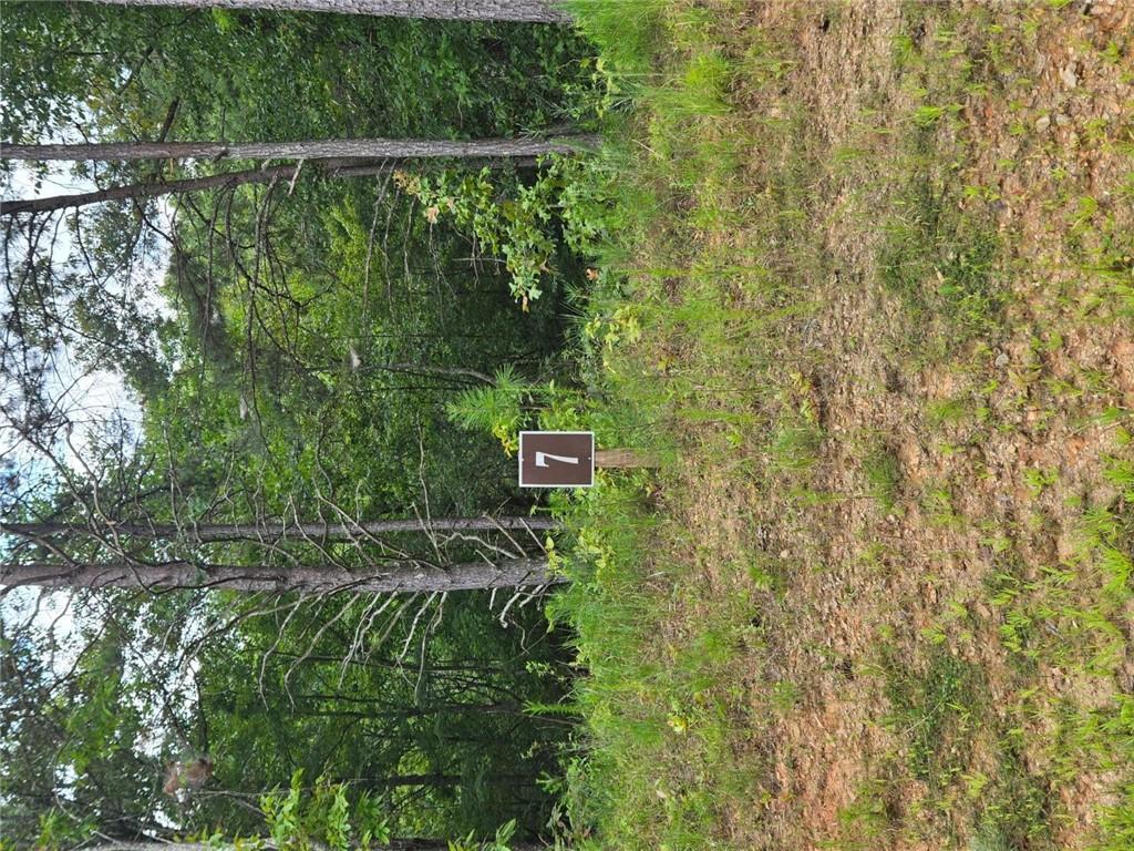0 Crayfish Place Talking Rock, GA 30175 - Photo 15 of 27 a green field with trees in the background