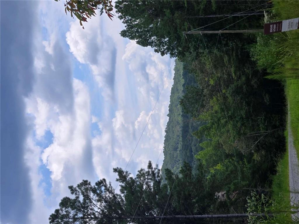 0 Crayfish Place Talking Rock, GA 30175 - Photo 16 of 27 a view of a city with lush green forest