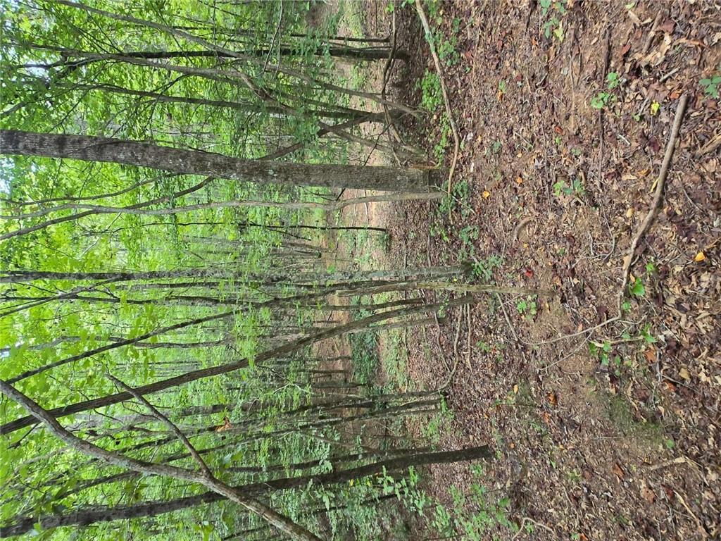 0 Crayfish Place Talking Rock, GA 30175 - Photo 2 of 27 a backyard of a house with lots of green space