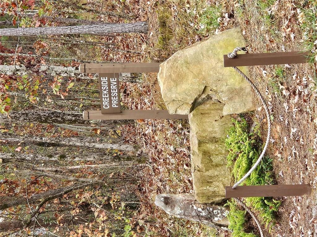 0 Crayfish Place Talking Rock, GA 30175 - Photo 23 of 27 a view of a jacuzzi