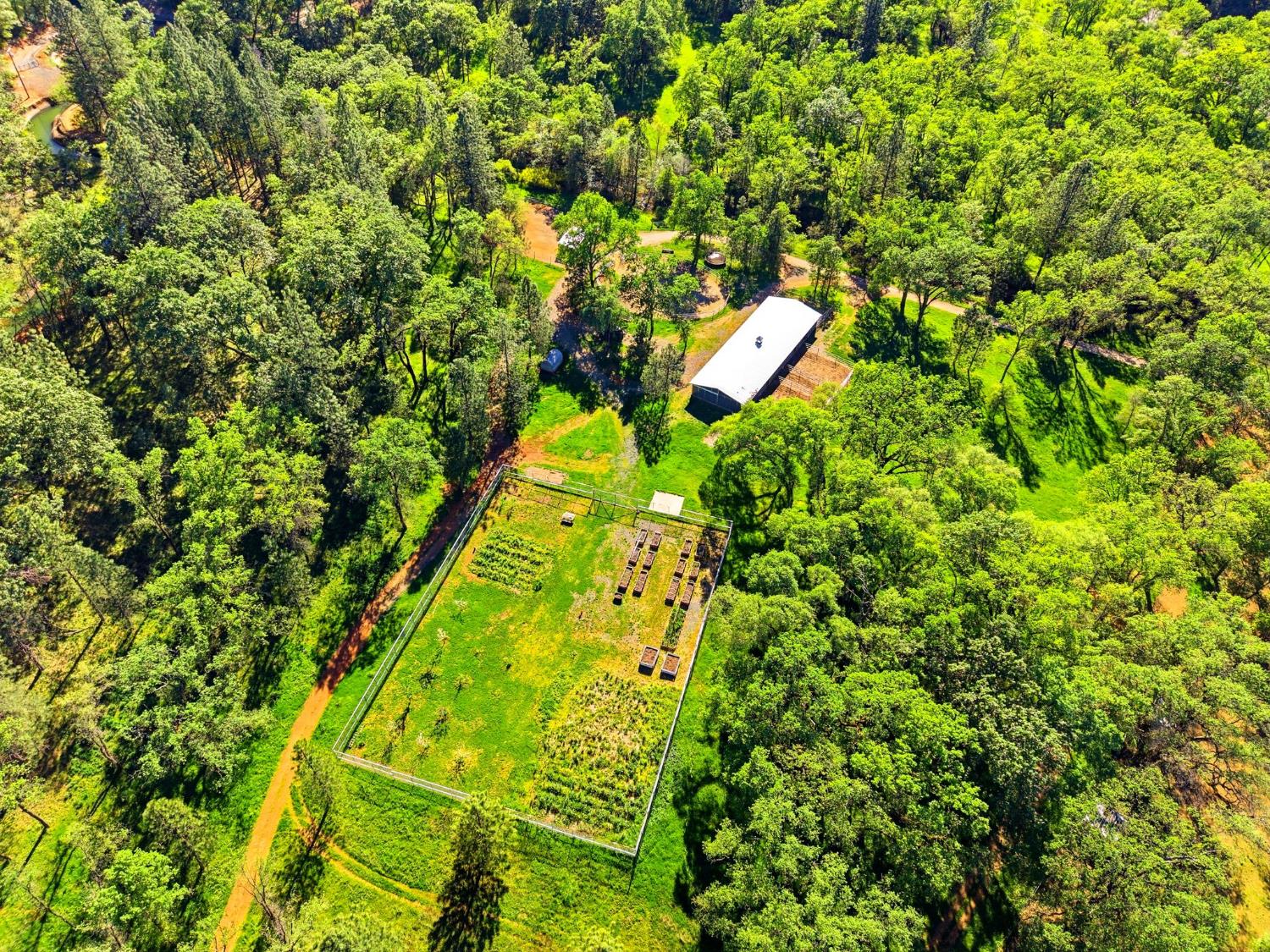 0 1 Placer Hills Road Applegate, CA 95703 - Photo 42 of 46