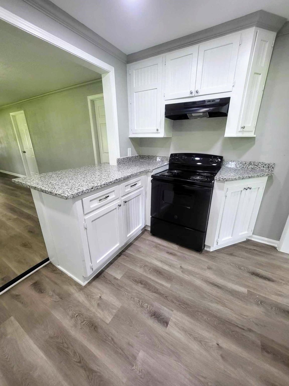 406 East Foley Street Alvin, TX 77511 - Photo 8 of 23 New electric stove/oven with venthood