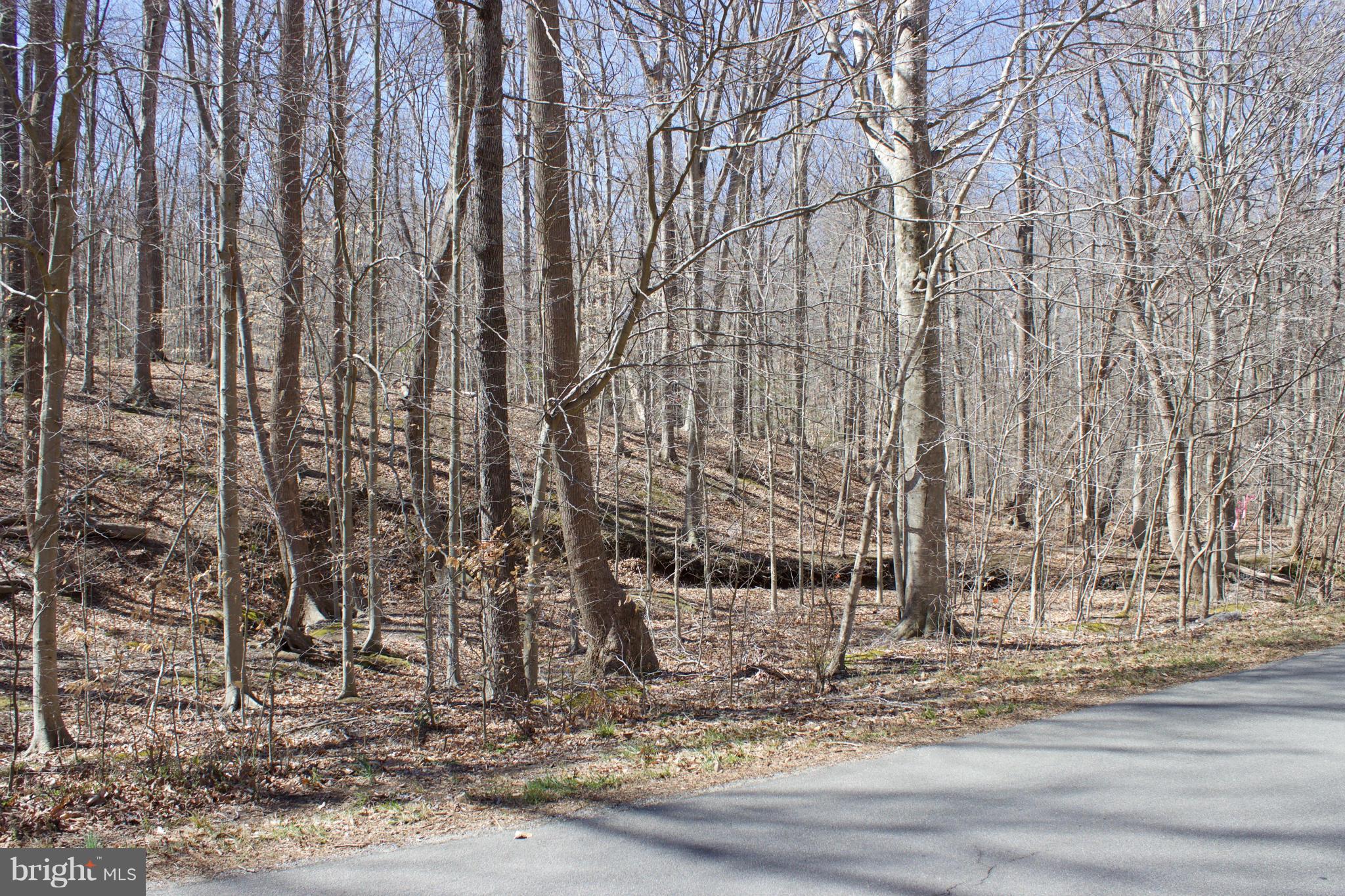8123 Counselor Road Manassas, VA 20112 - Photo 1 of 6 View