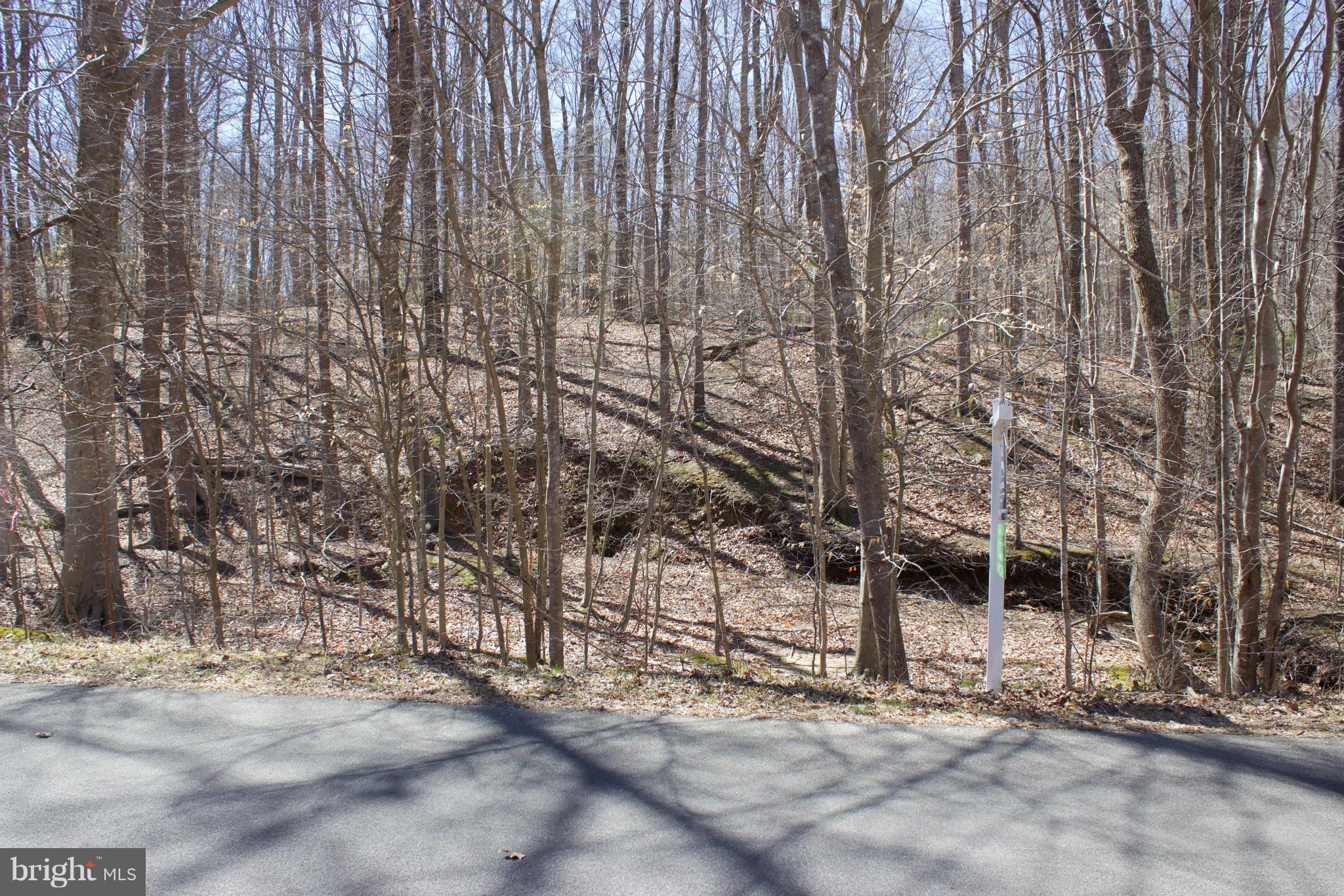 8123 Counselor Road Manassas, VA 20112 - Photo 3 of 6 View