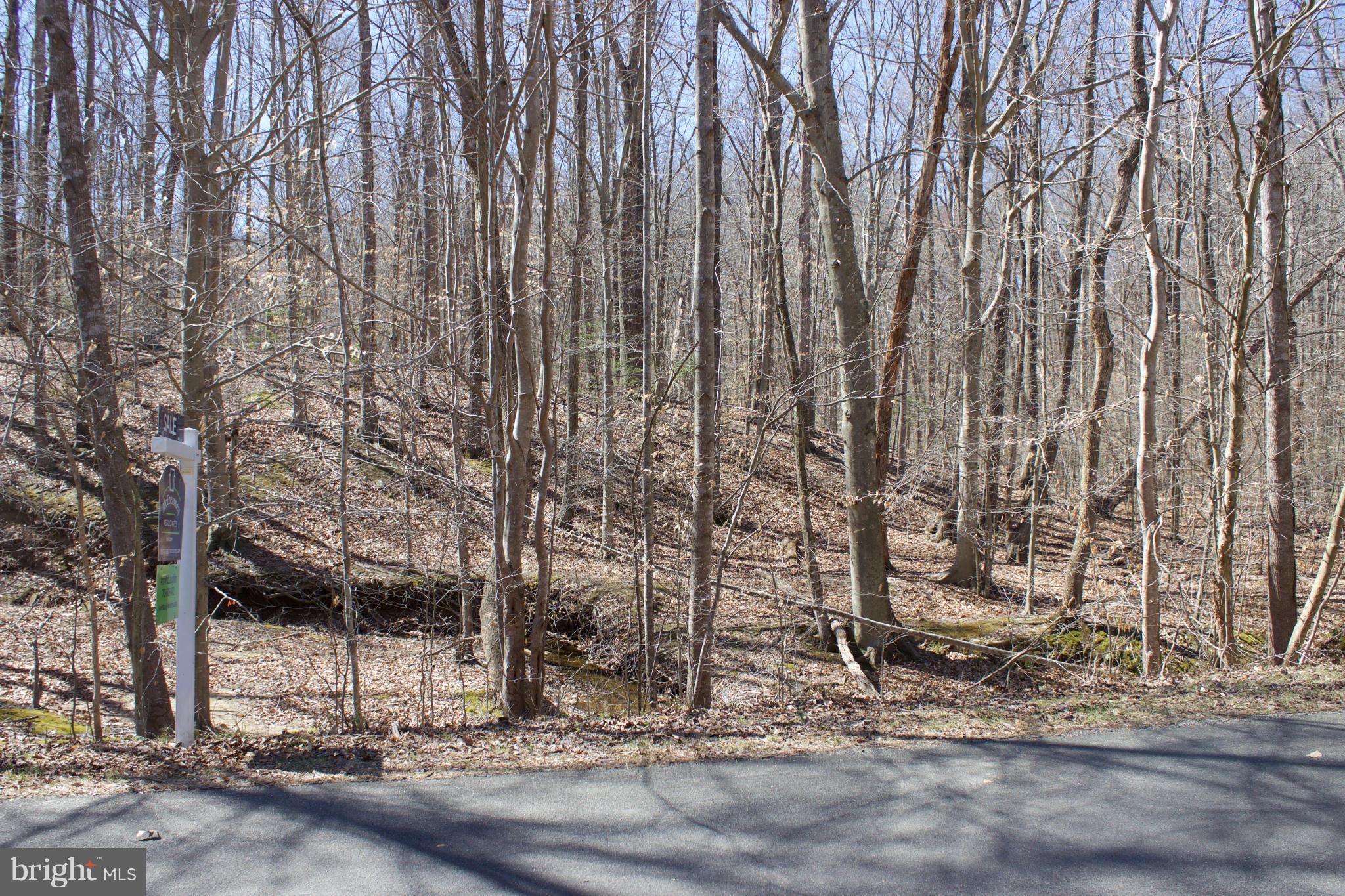 8123 Counselor Road Manassas, VA 20112 - Photo 4 of 6 View