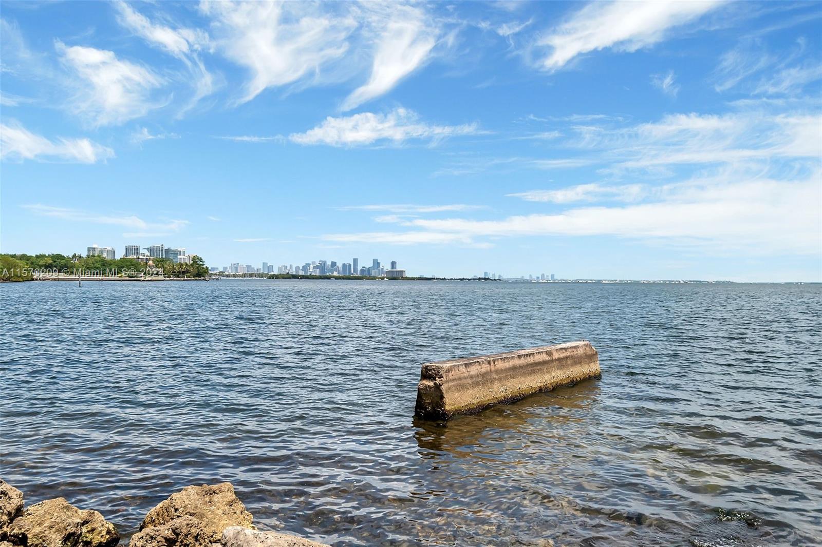 3620 Curtis Lane Miami, FL 33133 - Photo 33 of 33 a view of a lake