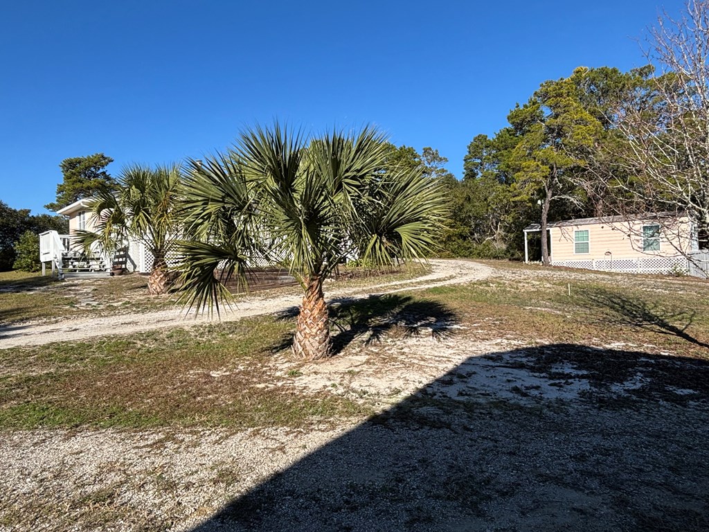 1810 Lighthouse Road Carrabelle, FL 32322 - Photo 53 of 80