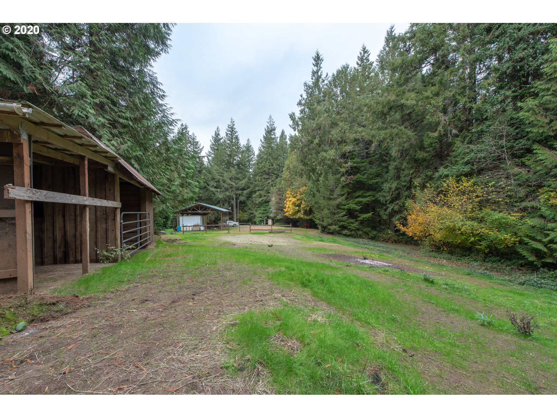 56974 Fat Elk Road Coquille, OR 97423 - Photo 11 of 31